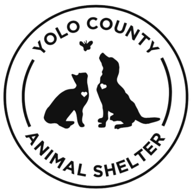 Yolo County Animal Services, Woodland, California